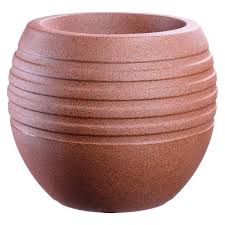 VASO CANELA 24